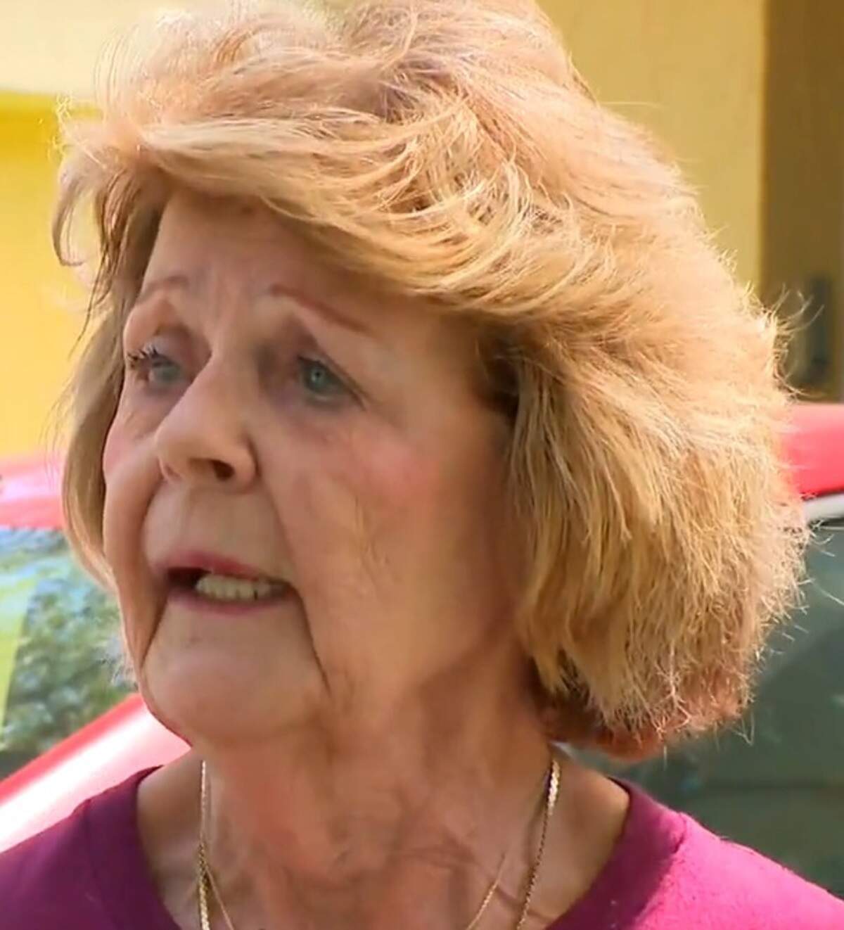 Nancy Dello Stritto said she ‘went ballistic’ when she saw her new license plate.